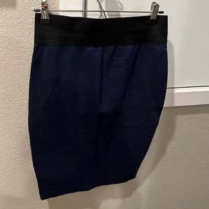 Navy stretchy pencil skirt.  Perfect for the office.